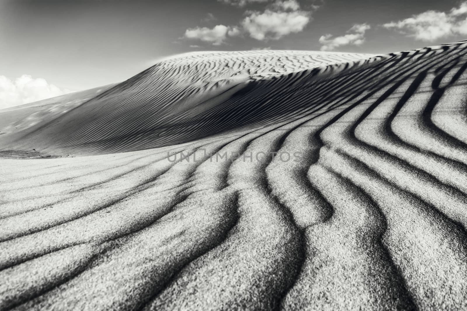 Day in the dunes by patricklienin