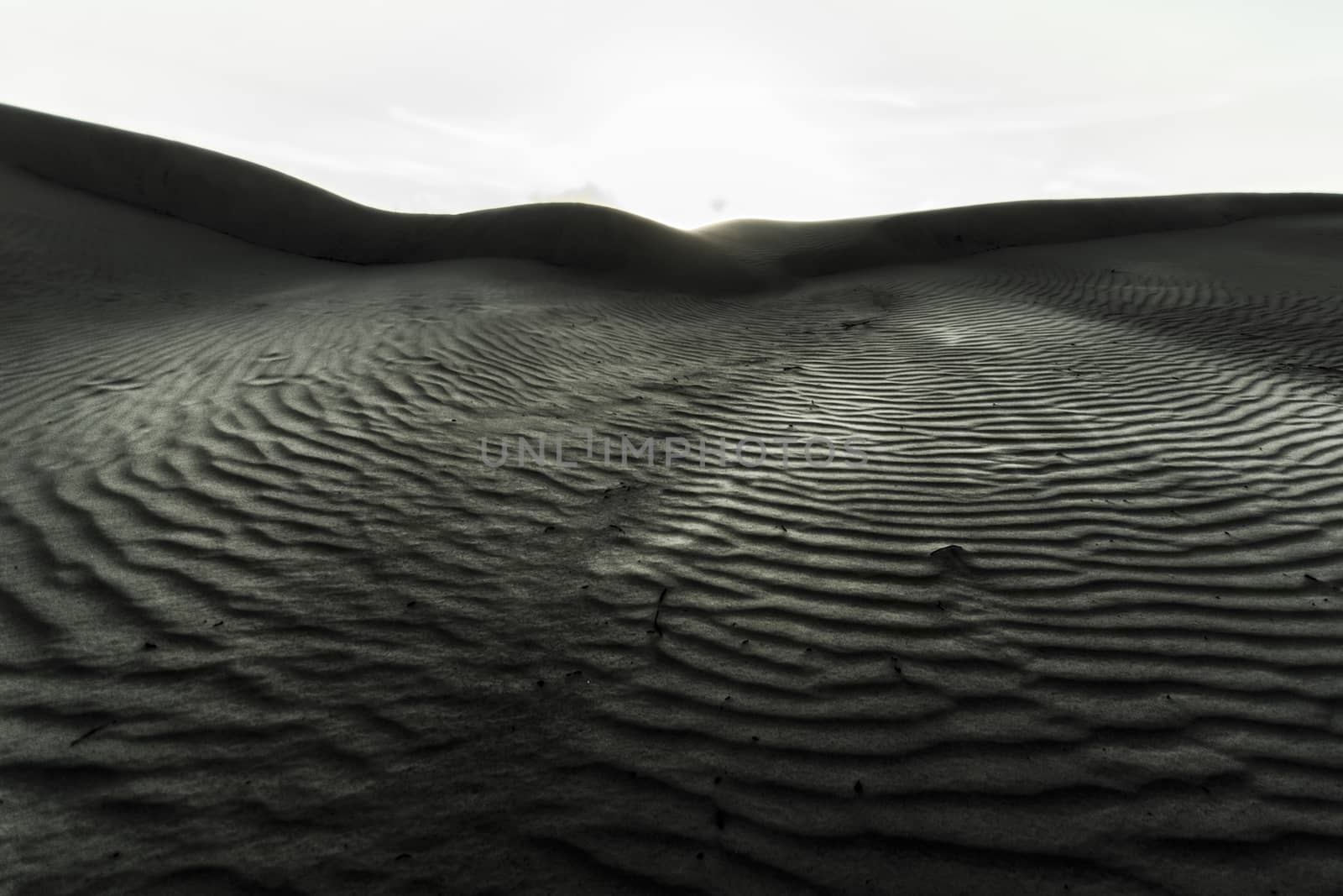 Photograph of sand dunes in Denmark