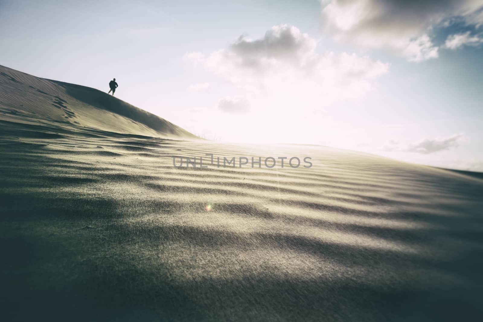 Photograph of sand dunes in Denmark