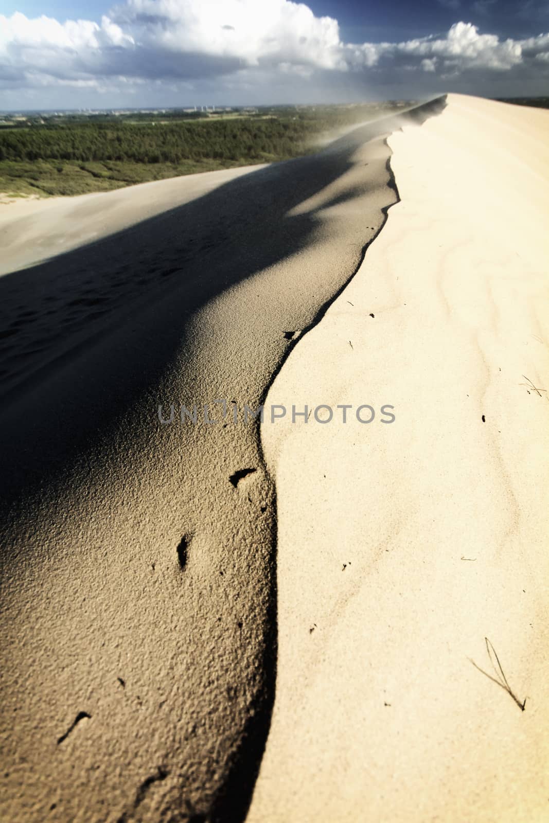 Photograph of sand dunes in Denmark