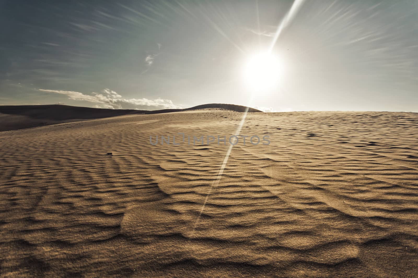 Photograph of sand dunes in Denmark