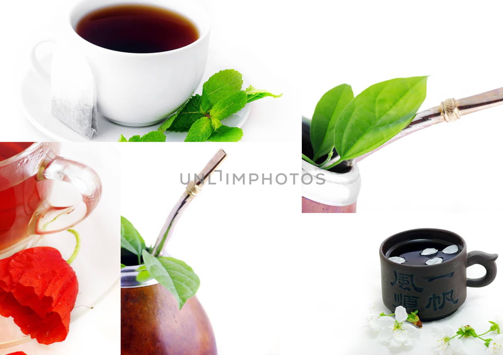 Isolated Leather Mate Cup with Straw and yerba green leafs 