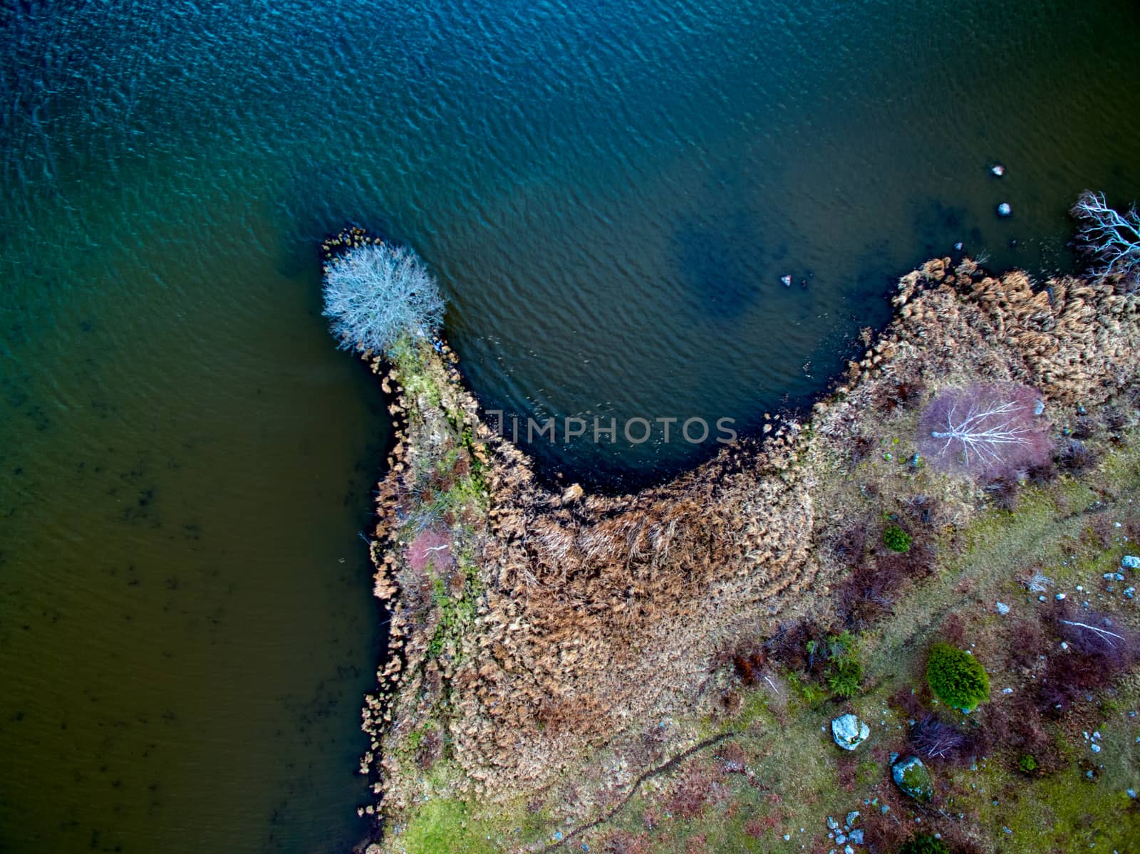 Land and water from above