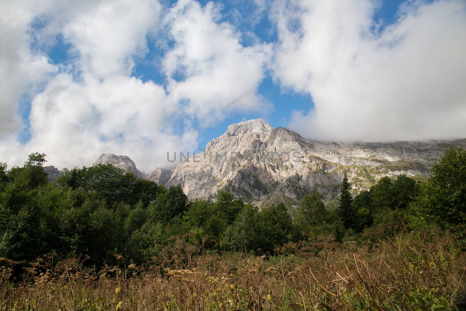 Majestic mountain landscapes of the Caucasian reserve