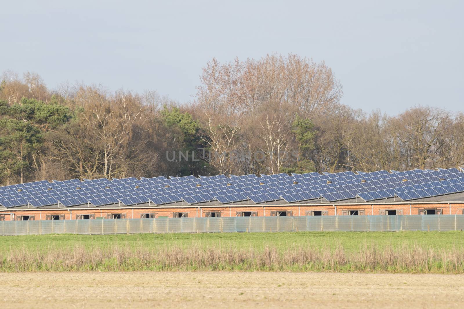 Modern barn with solar collectors on the roof
