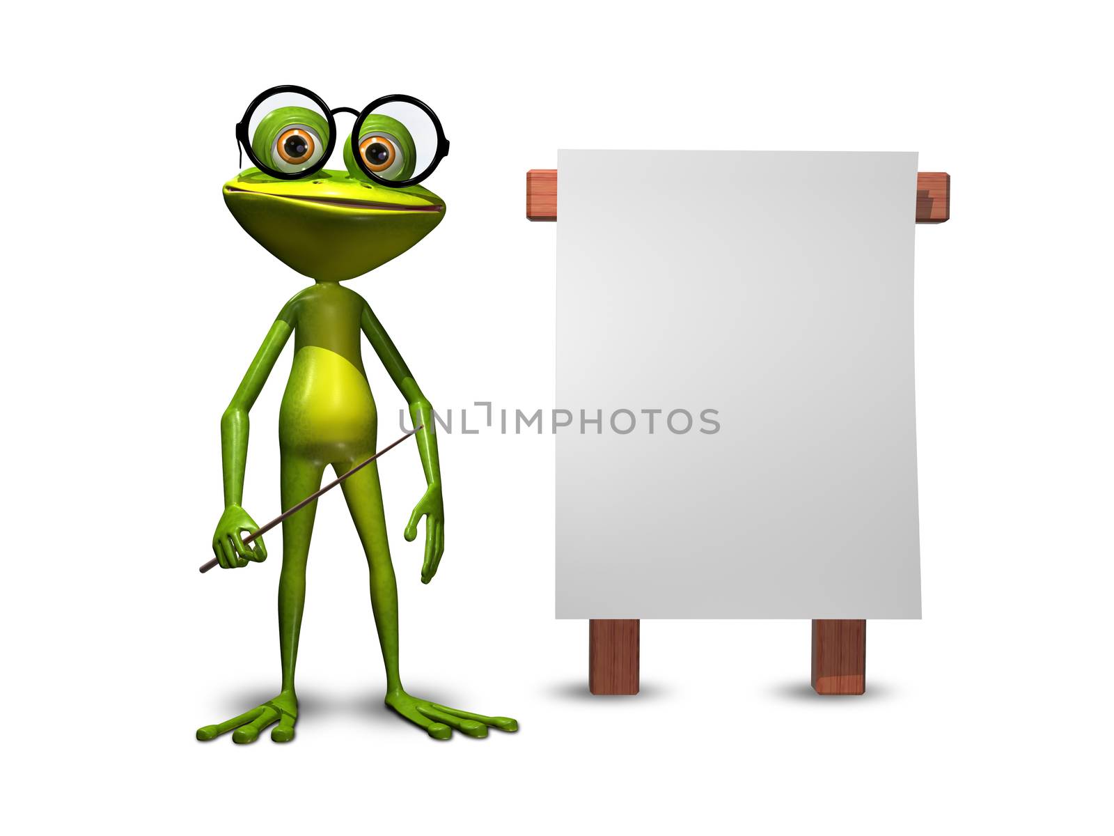 Illustration green frog with a pointer and a white background