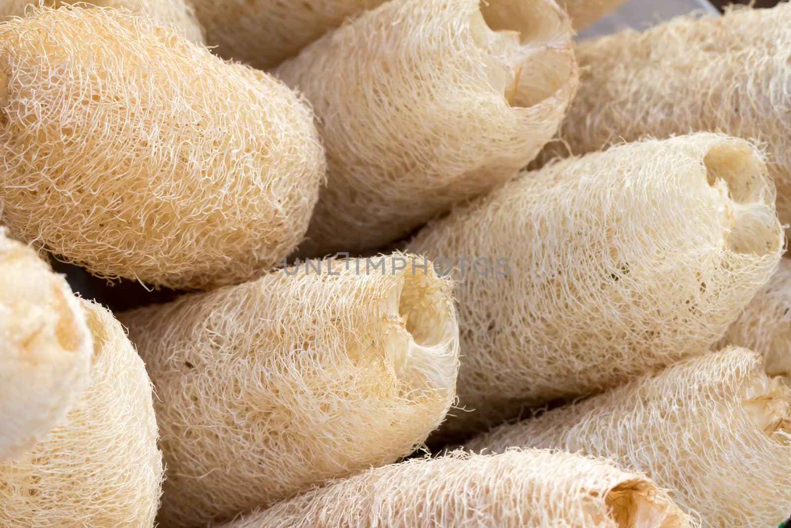 close up of loofah in the market