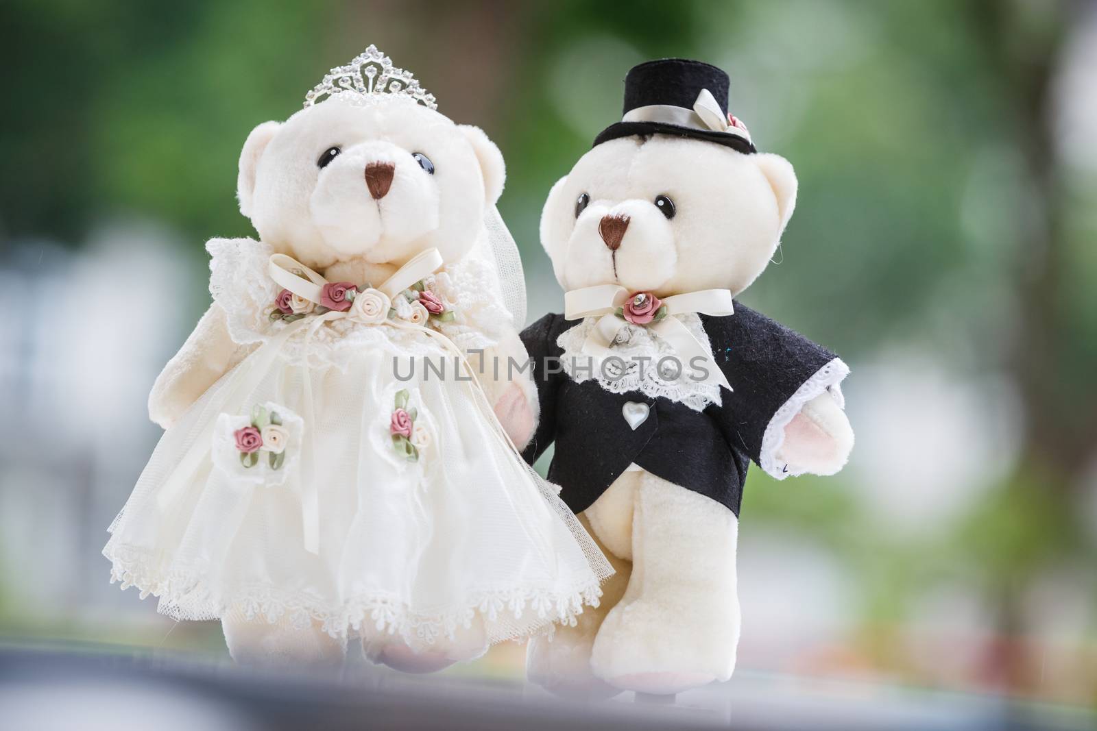 cute couple bear in the wedding ceremony