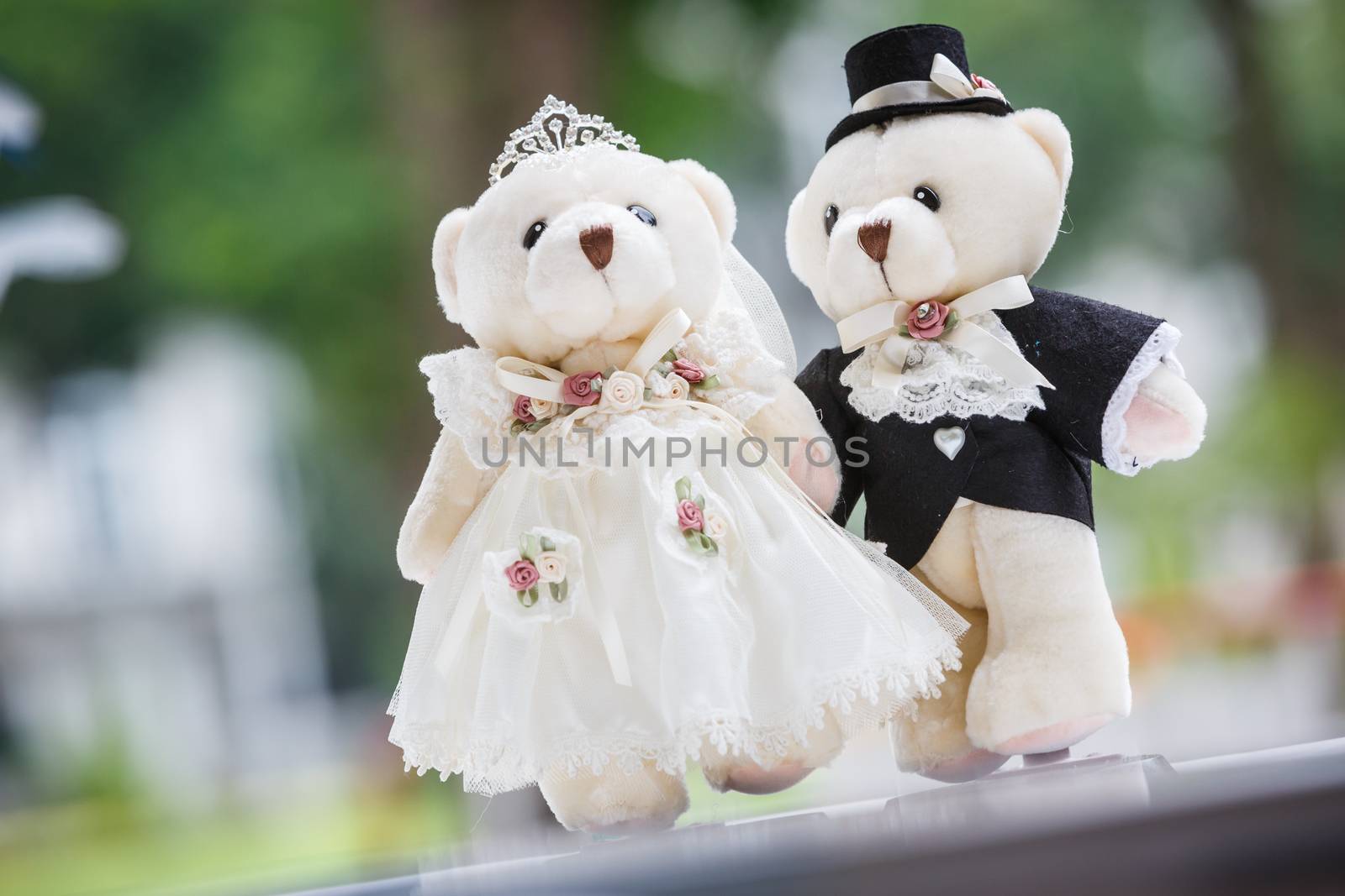 cute couple bear in the wedding ceremony