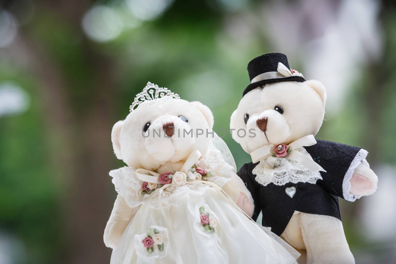 cute couple bear in the wedding ceremony