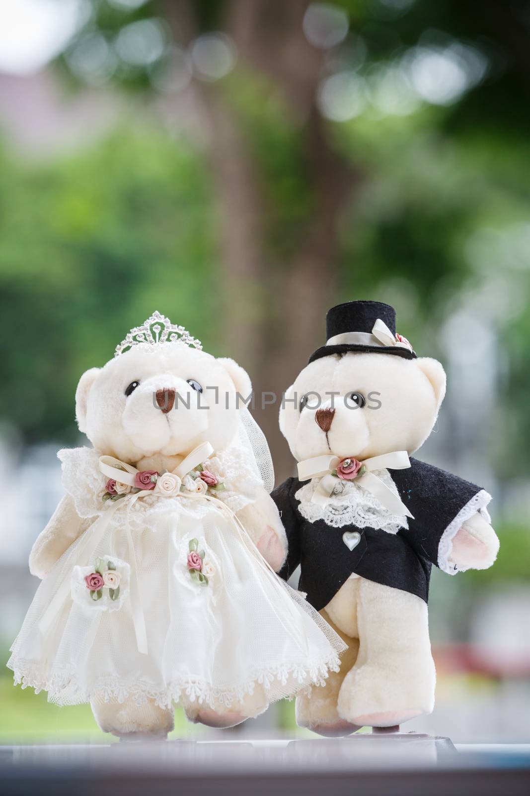 cute couple bear in the wedding ceremony