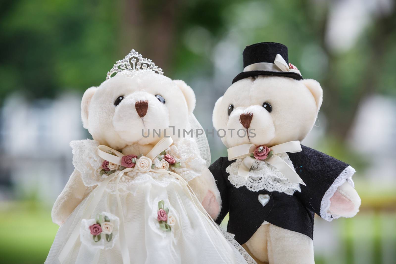 cute couple bear in the wedding ceremony