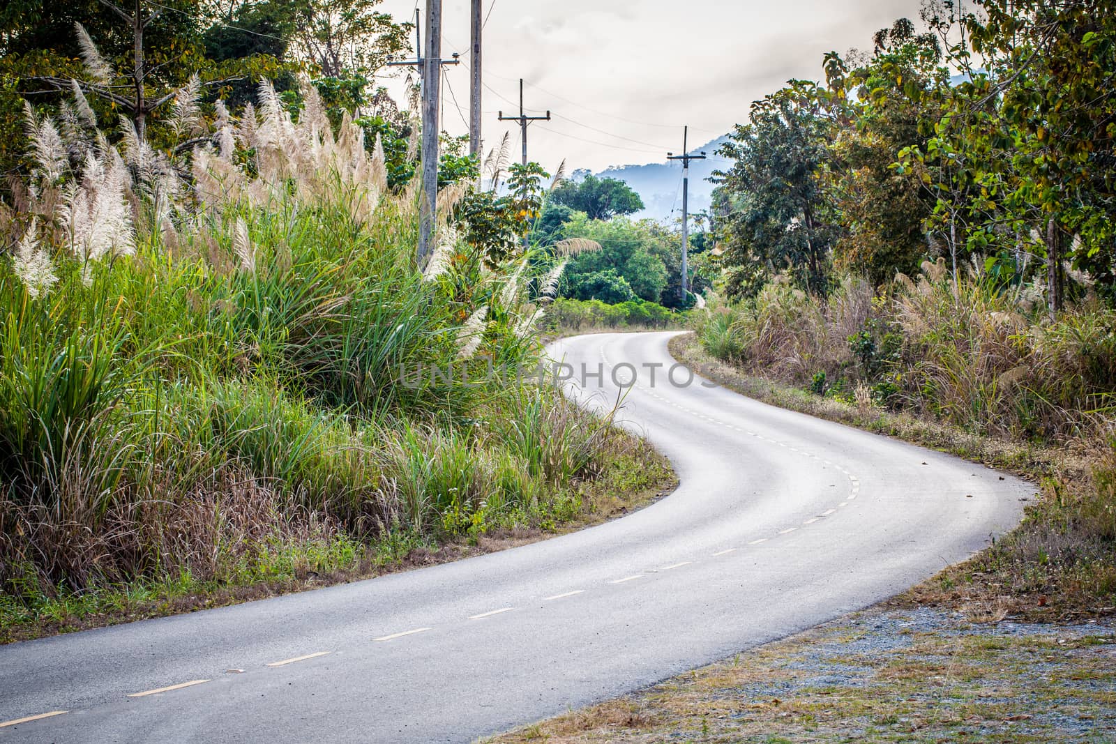 curve road view from countryside