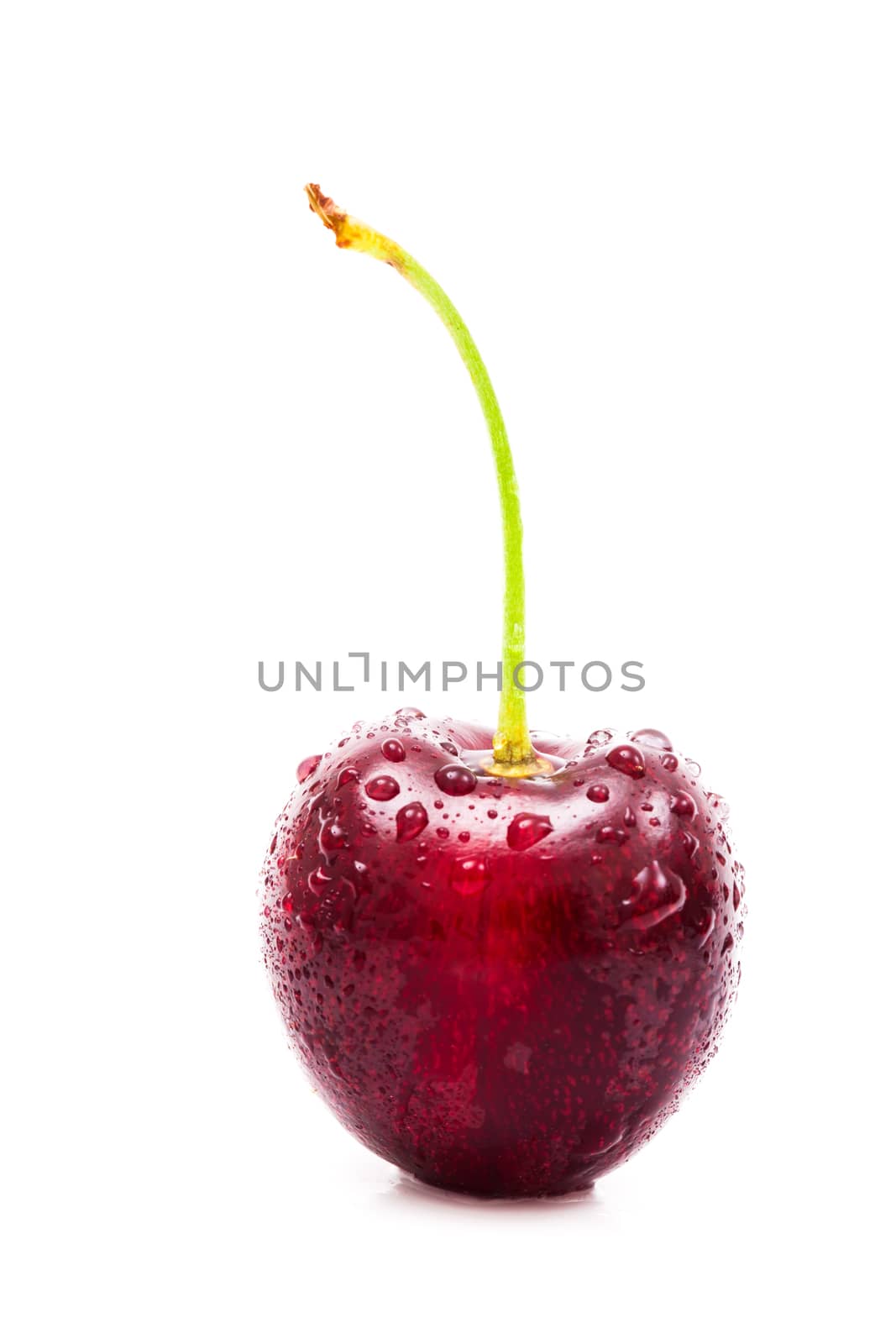 single cherry on white background