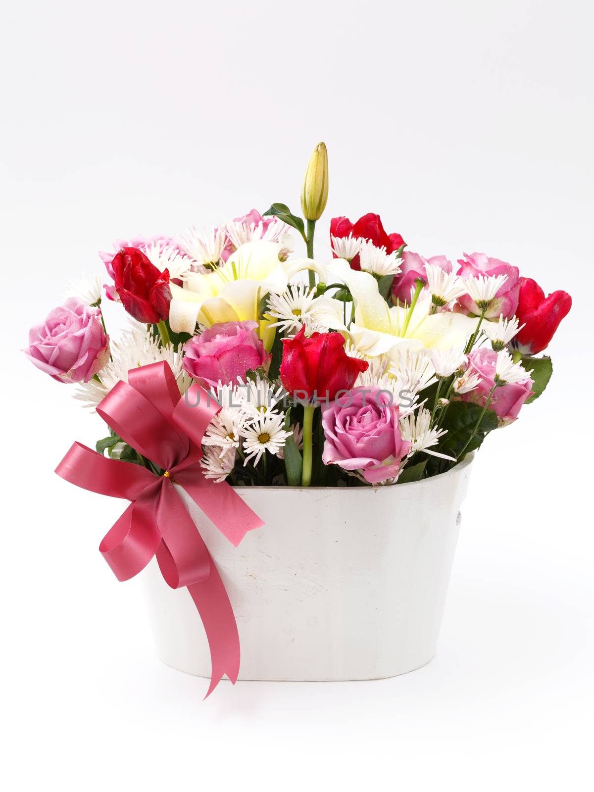 flowers in flower pot on white background