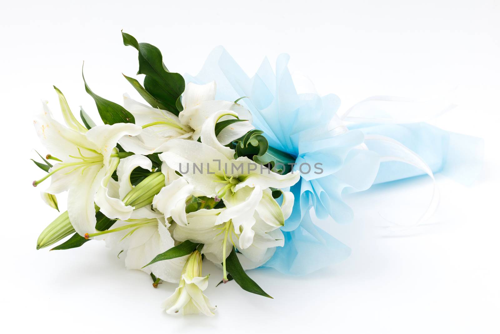 white lily bouquet on white background