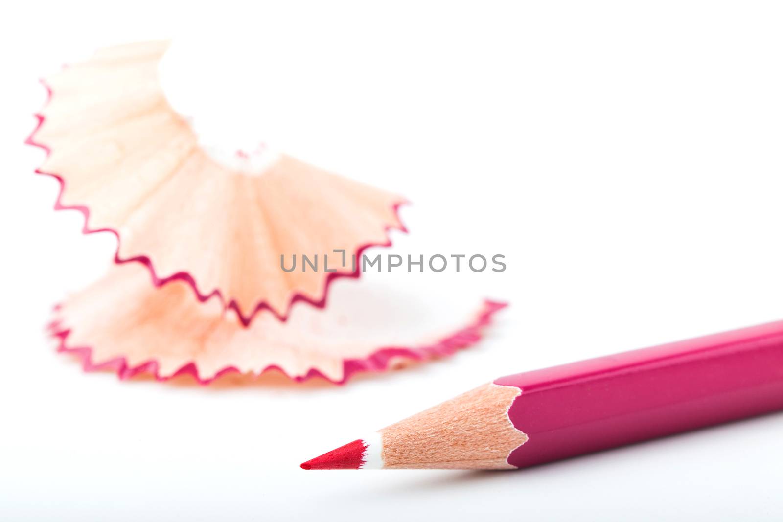 tip point of pink pencils and shavings from sharpening on white background