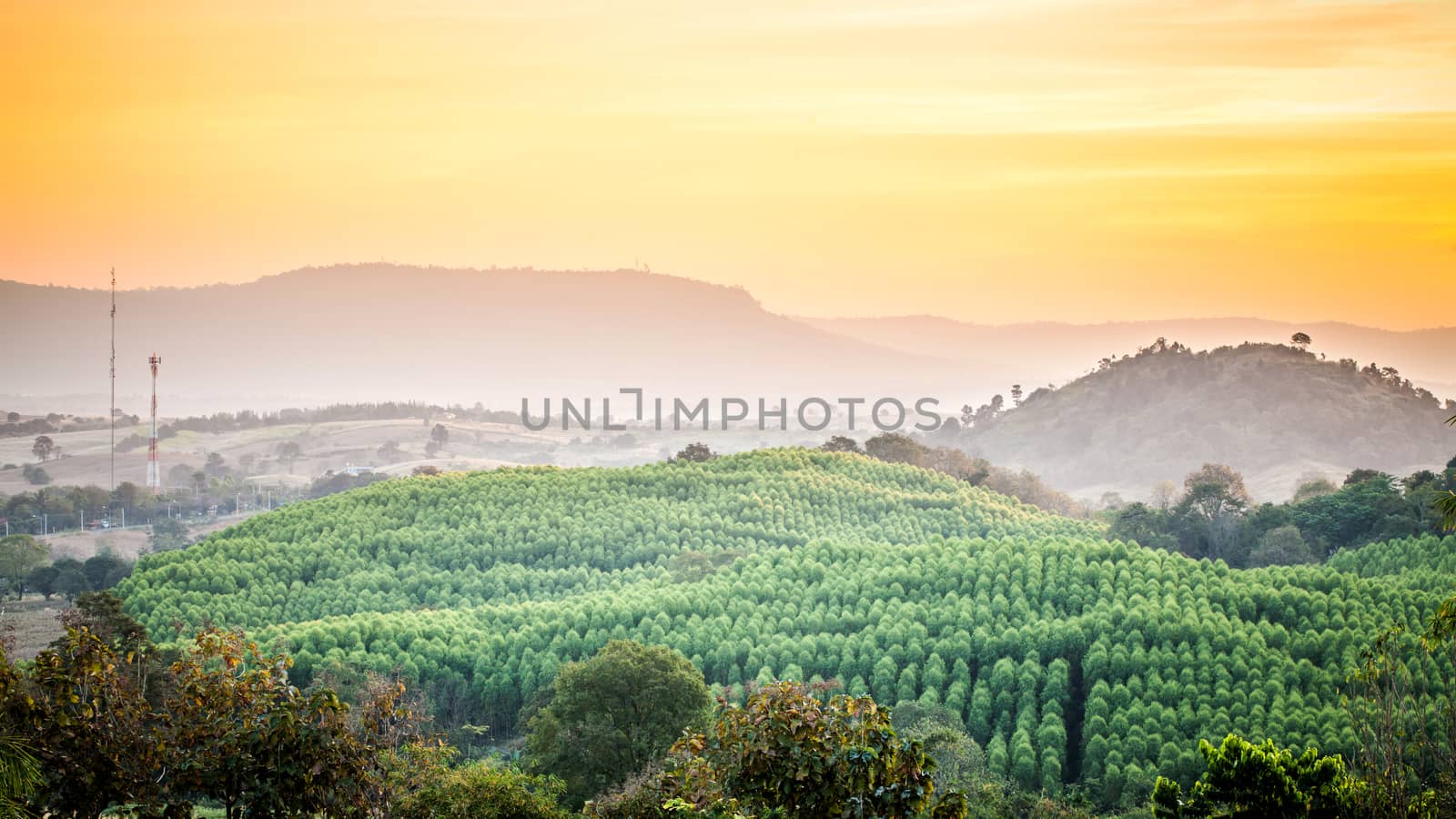 hill and mountain view by darkkong