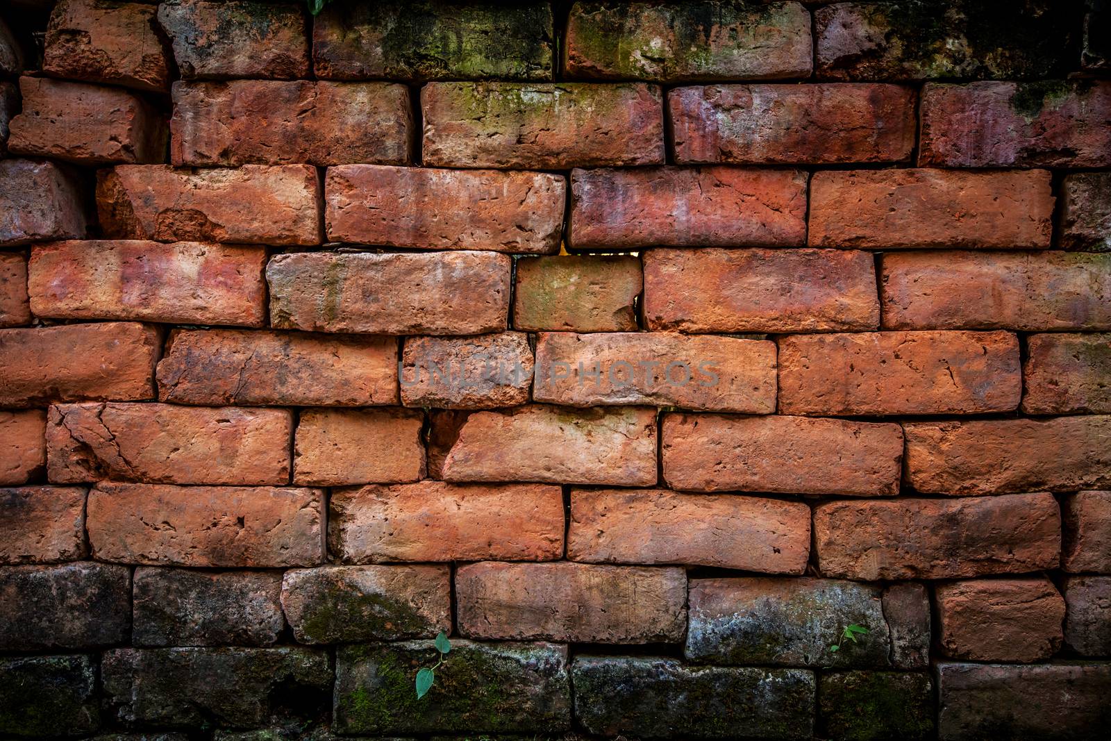 brown brick wall by darkkong