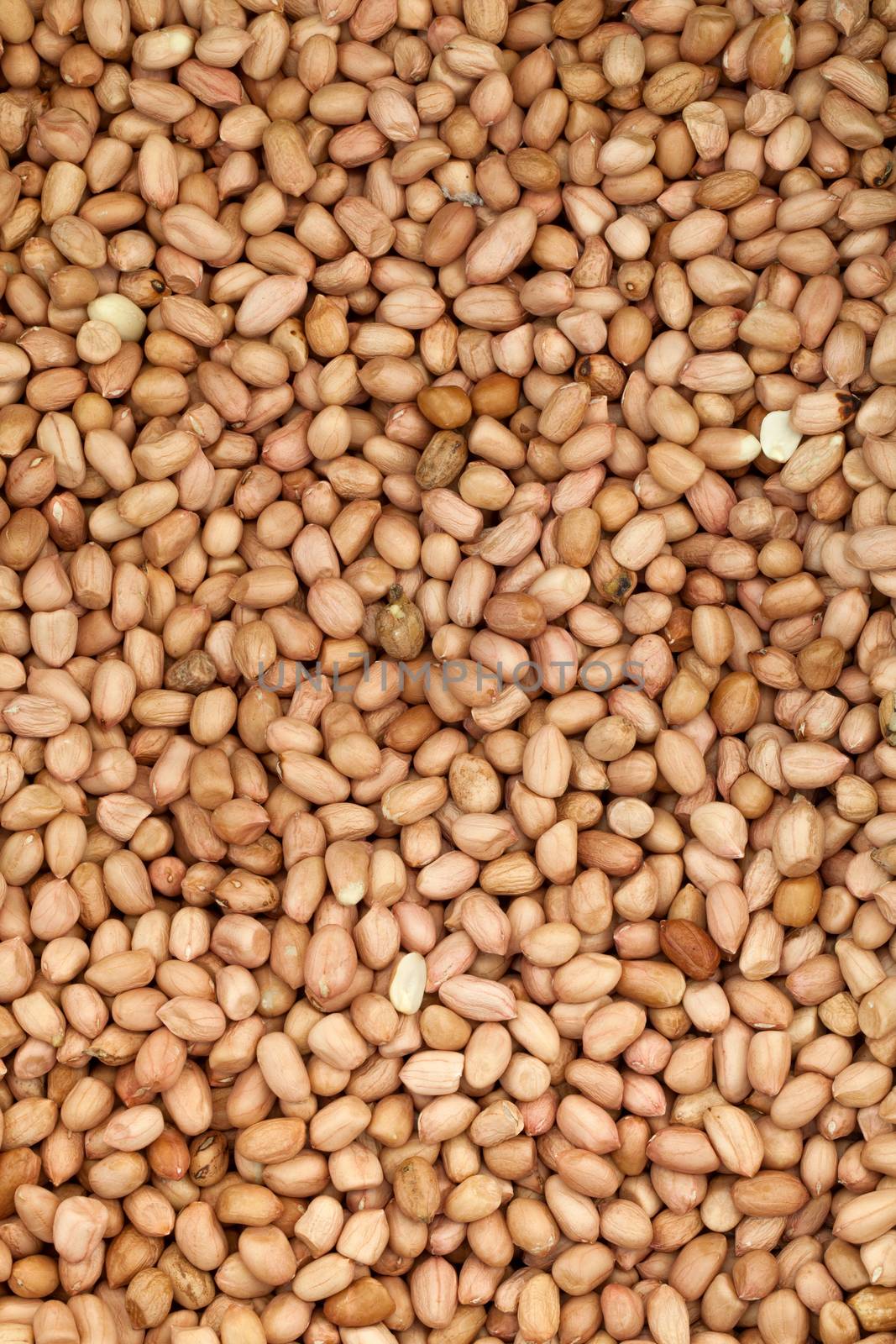 close up many roast peanut