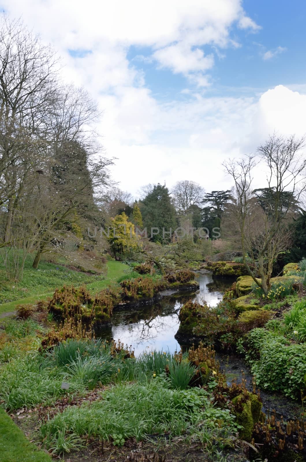 Stream in formal country garden
