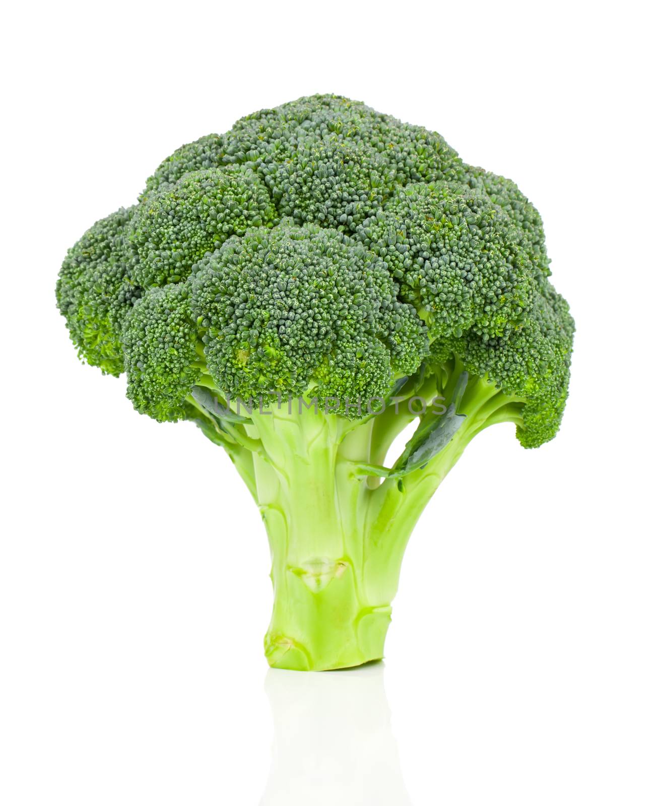 Broccoli isolated on white background by motorolka