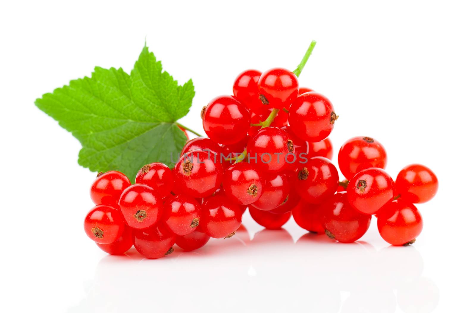 Red Currant close up isolated on white by motorolka