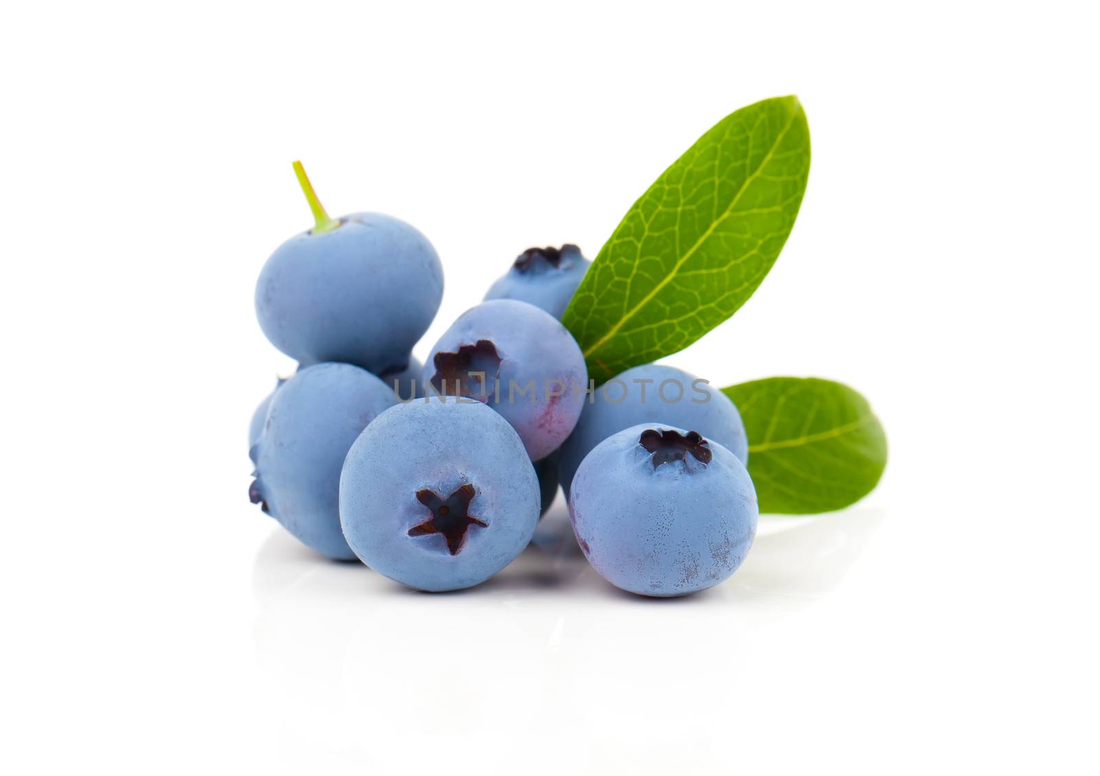 blueberry or bilberry or blackberry or blue whortleberry or huck by motorolka