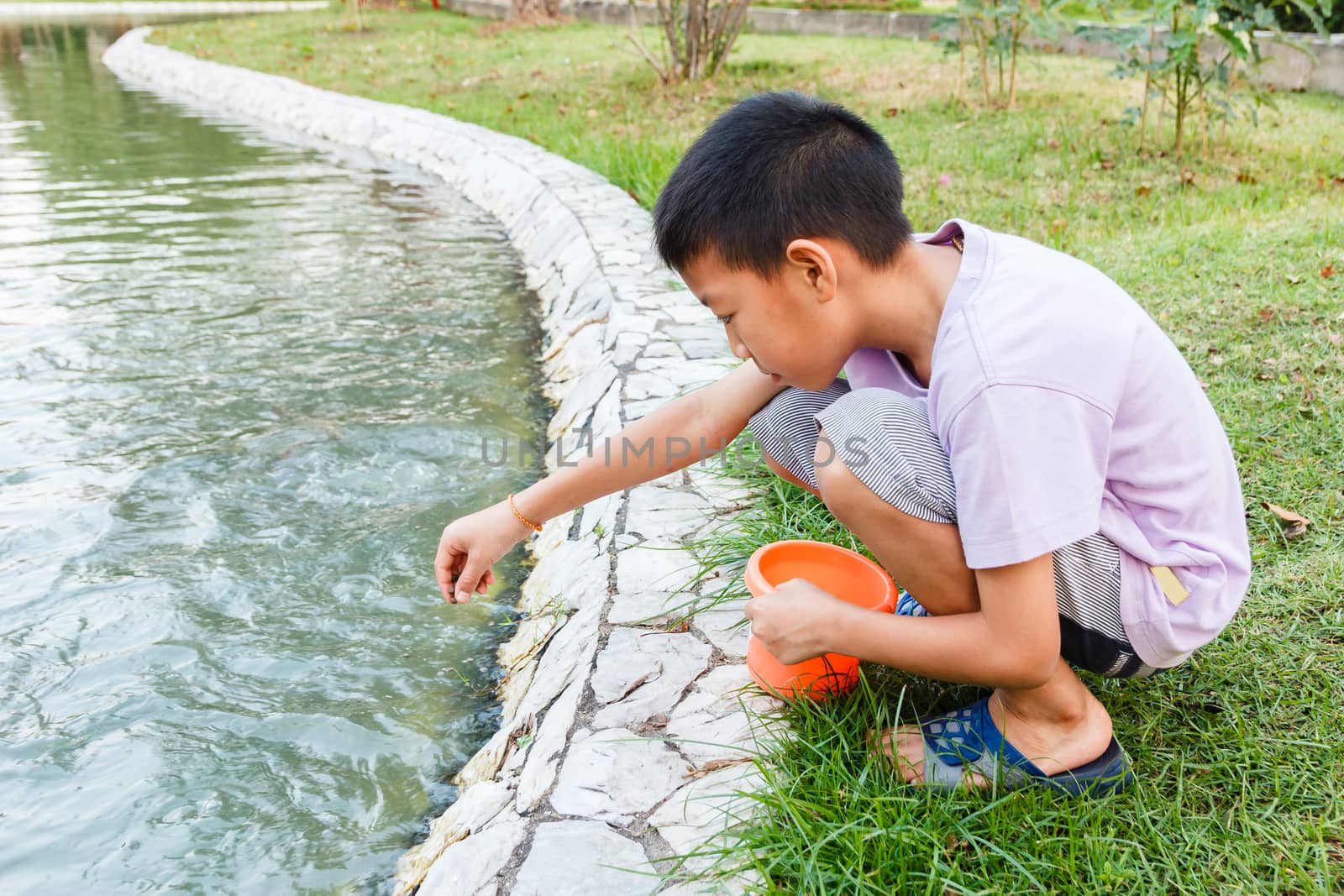 Young Thai boy feeding fish in pond.