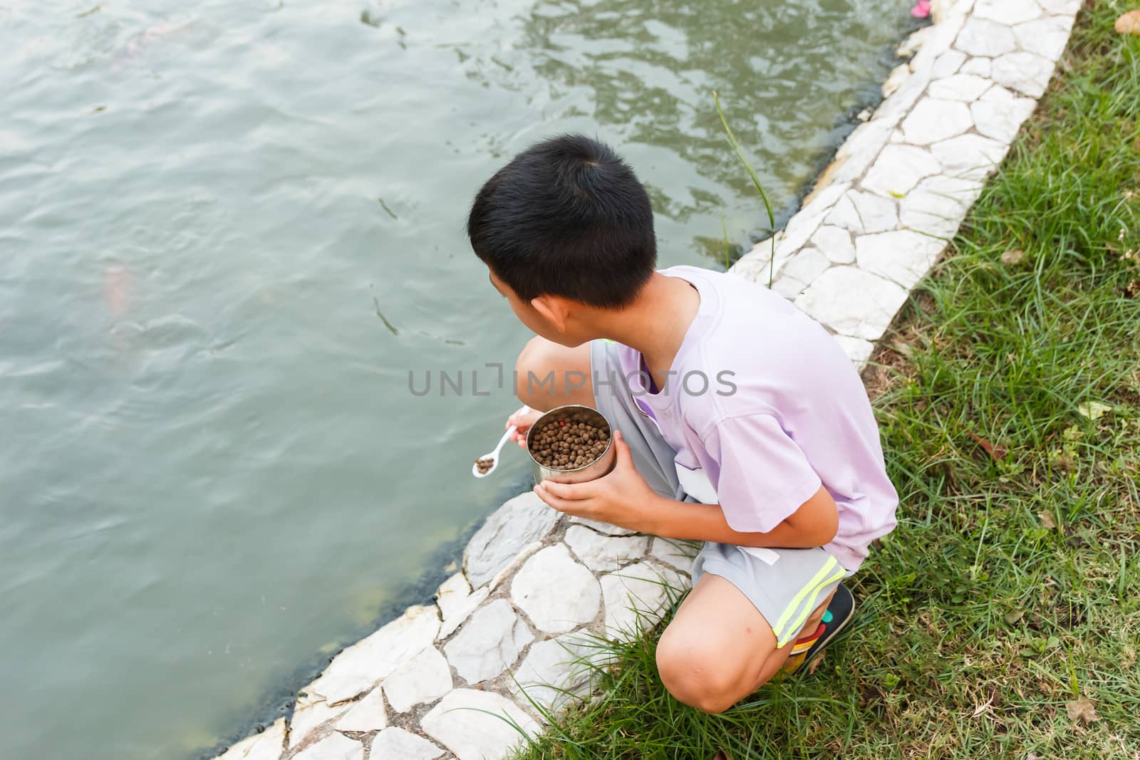 Young Thai boy feeding fish in pond.