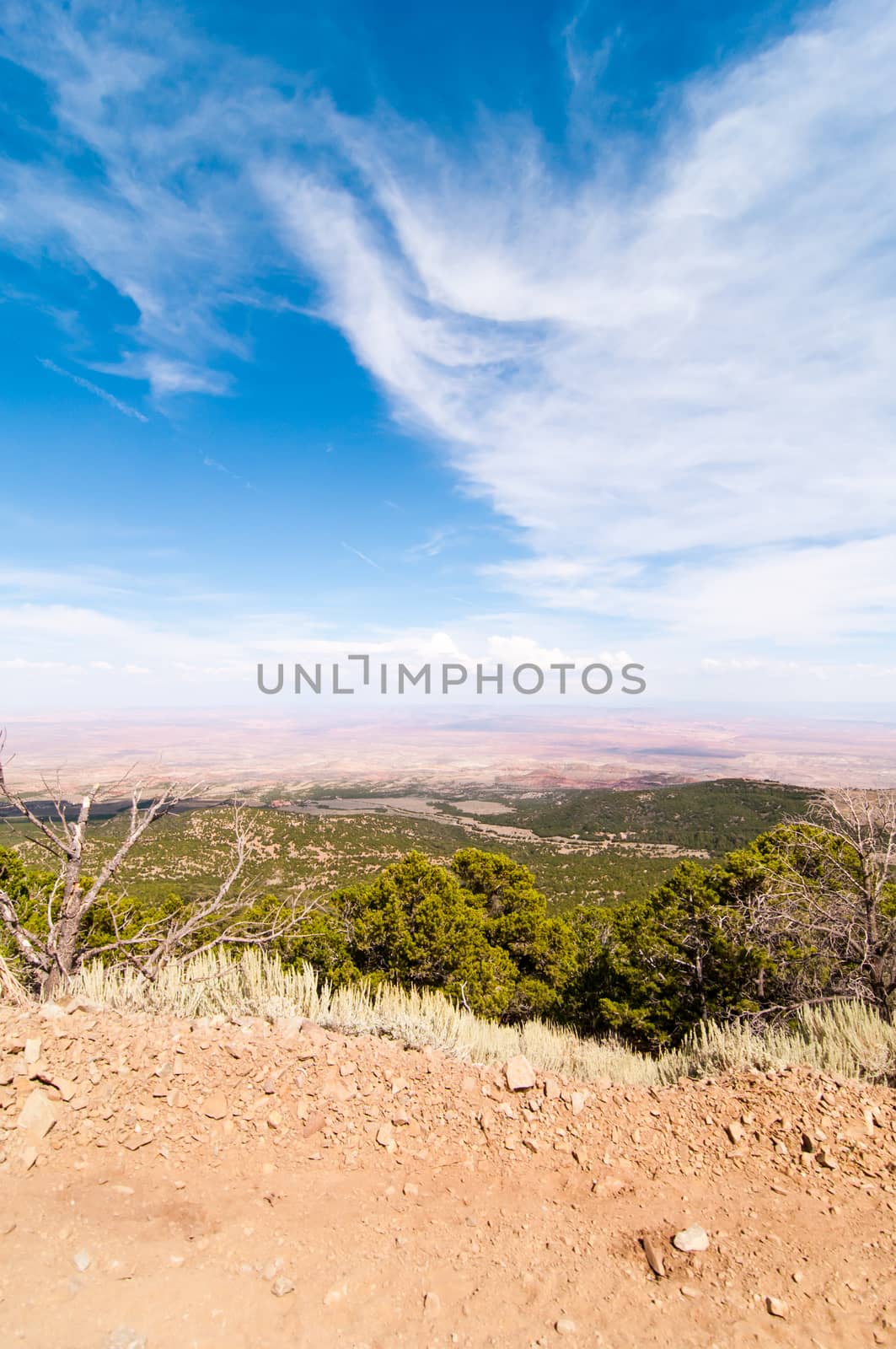 Edge of the canyon road overlooking a large valley