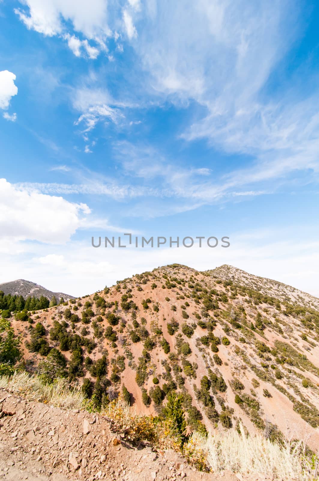 Hillside landscape off the side of a canyon road