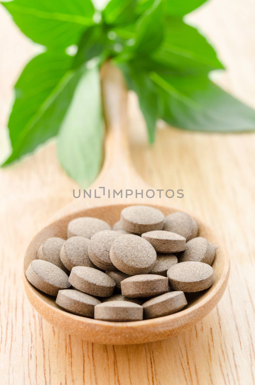 Herbal tablets in wooden spoon with green leaf on wooden background.