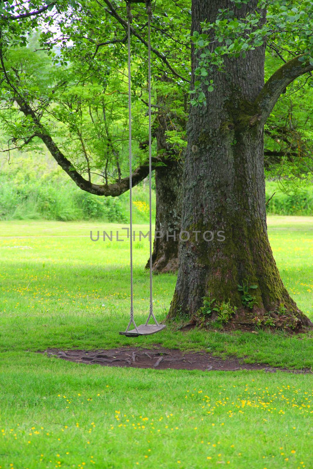 Swings in park in beautiful Naas park, sweden