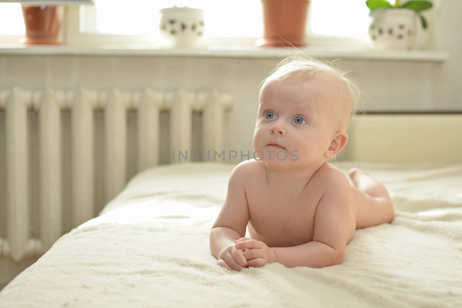 Portrait of a young child on a white background