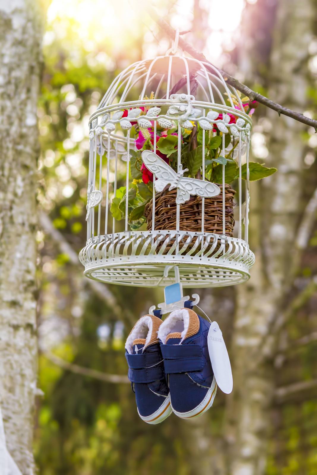 blue baby shoes hanging from a cage and branch by manaemedia