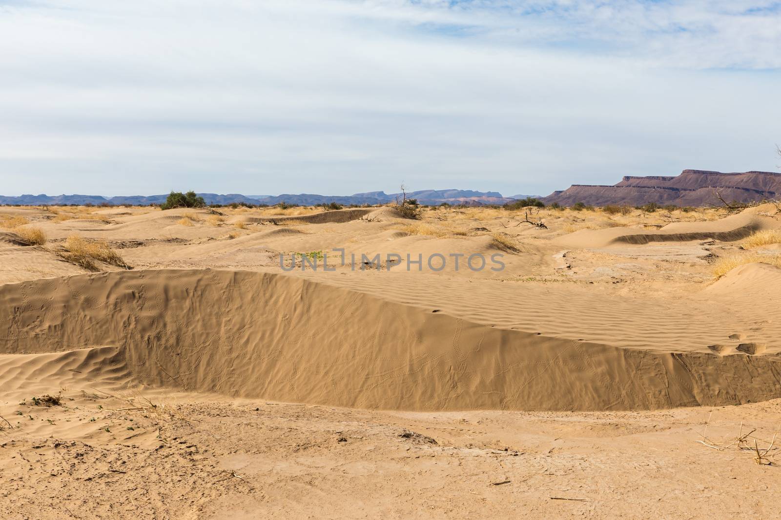 dune erg Chebbi in the blue sky, Morocco