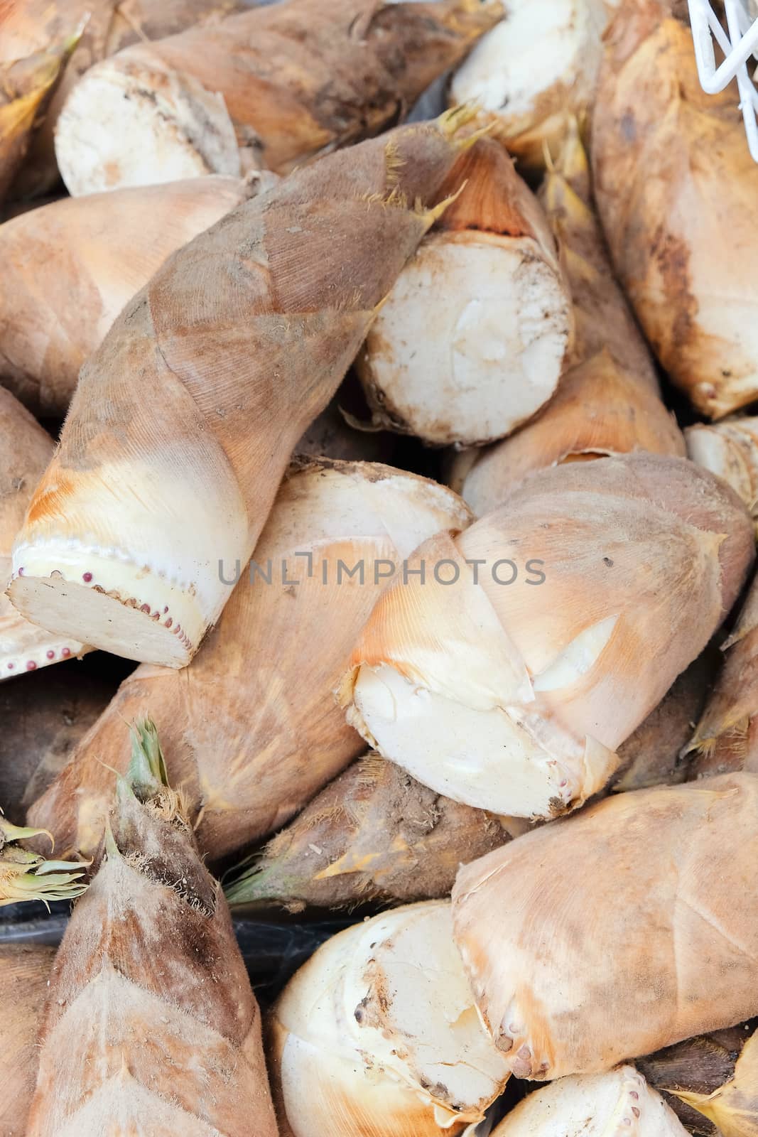Bamboo shoot in market