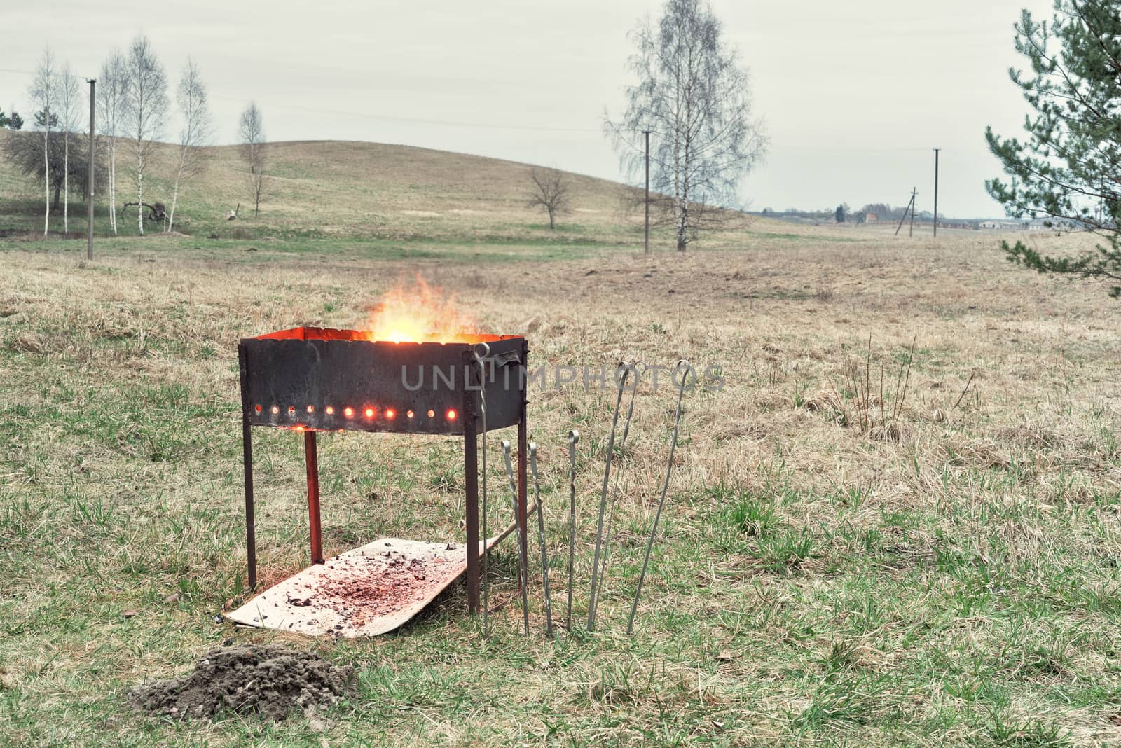 brazier with burning woods, charcoal preparation to bake shashlik