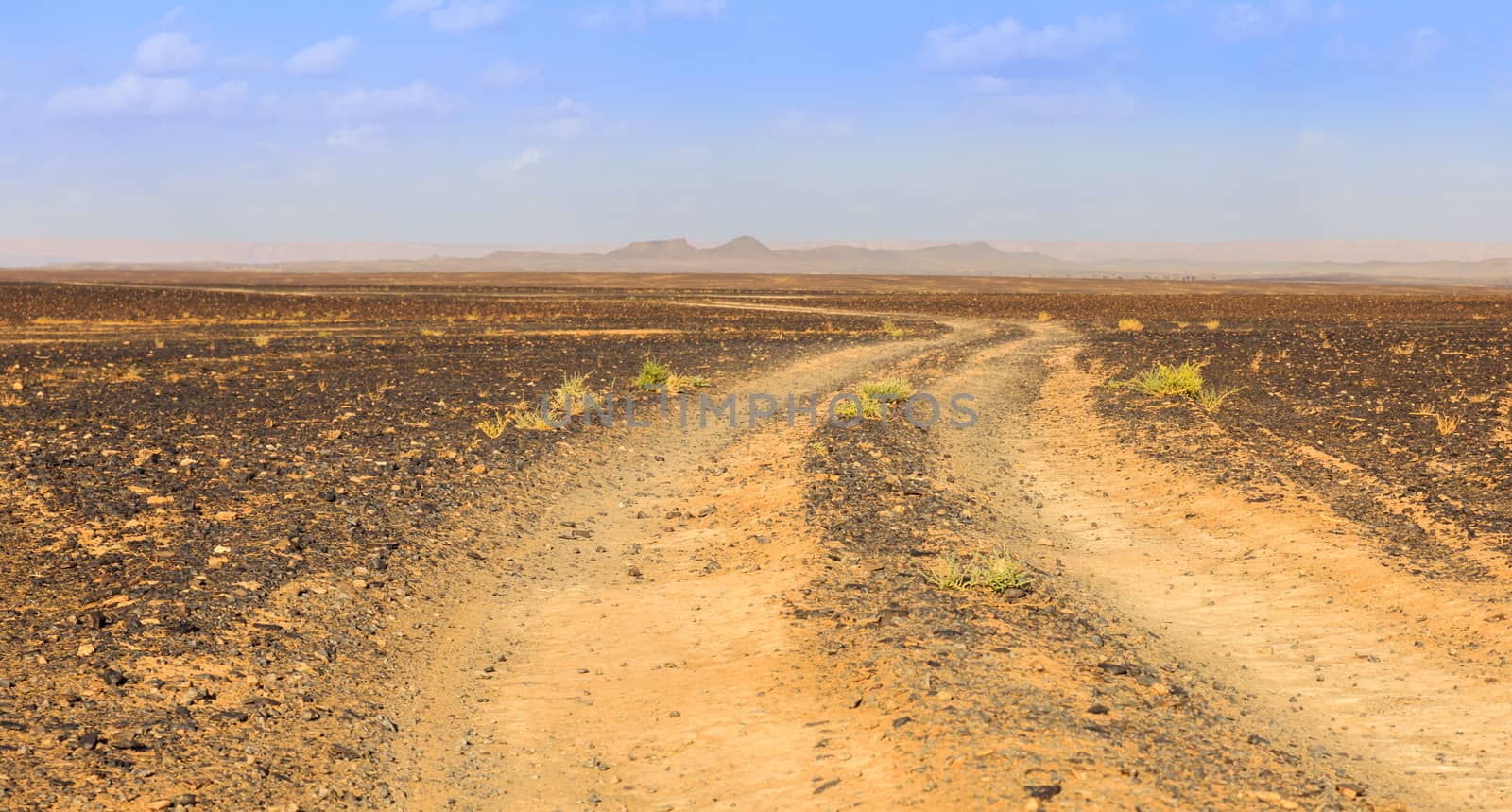road in Sahara desert by Mieszko9