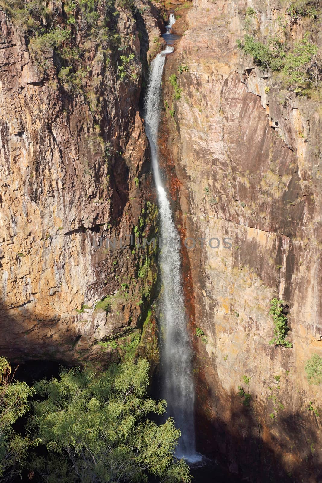 Litchfield National Park, Australia by alfotokunst