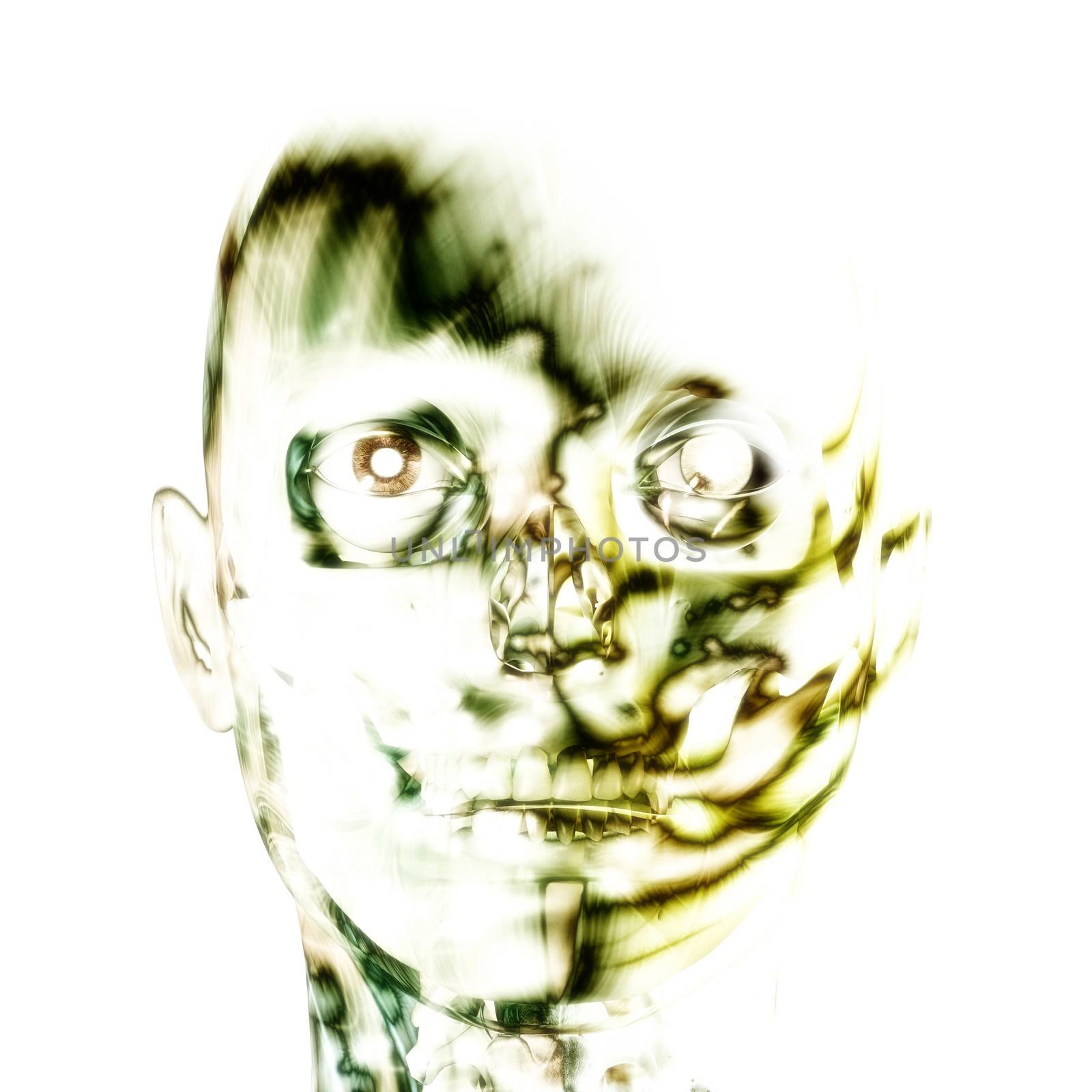 3D illustration, 3d Rendering of a human Skull