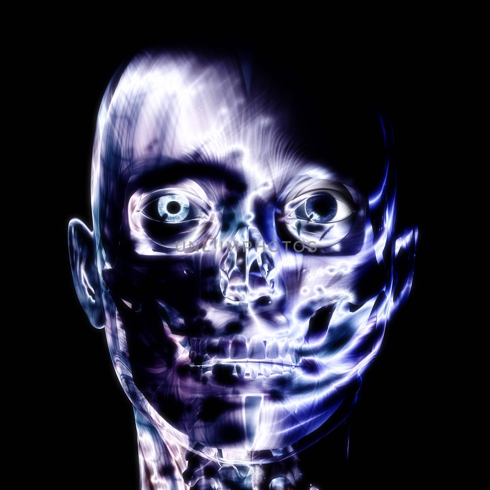 3D illustration, 3d Rendering of a human Skull