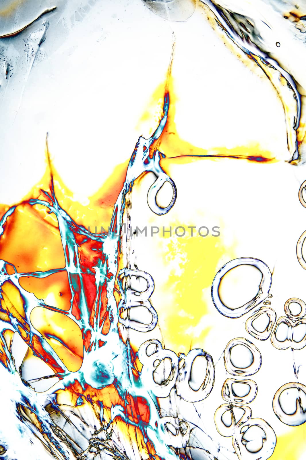 Light Graphics: Microphoto of translucent structures