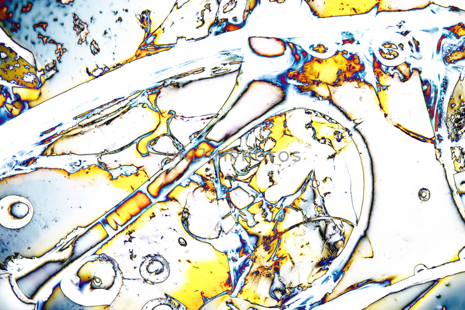 Light Graphics: Microphoto of translucent structures by 3quarks