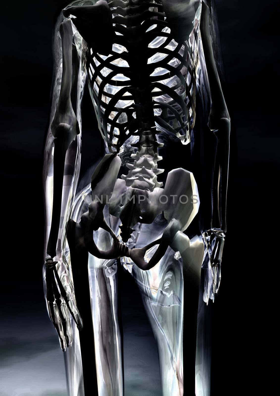 Digital visualization of a glassy female body by 3quarks