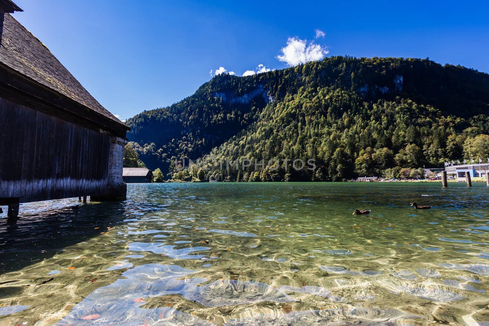 View from boats harbour Schönau over the Königssee in Berchtesgadener Land with some brants in the water, boatshouse in front of deep blue sky.