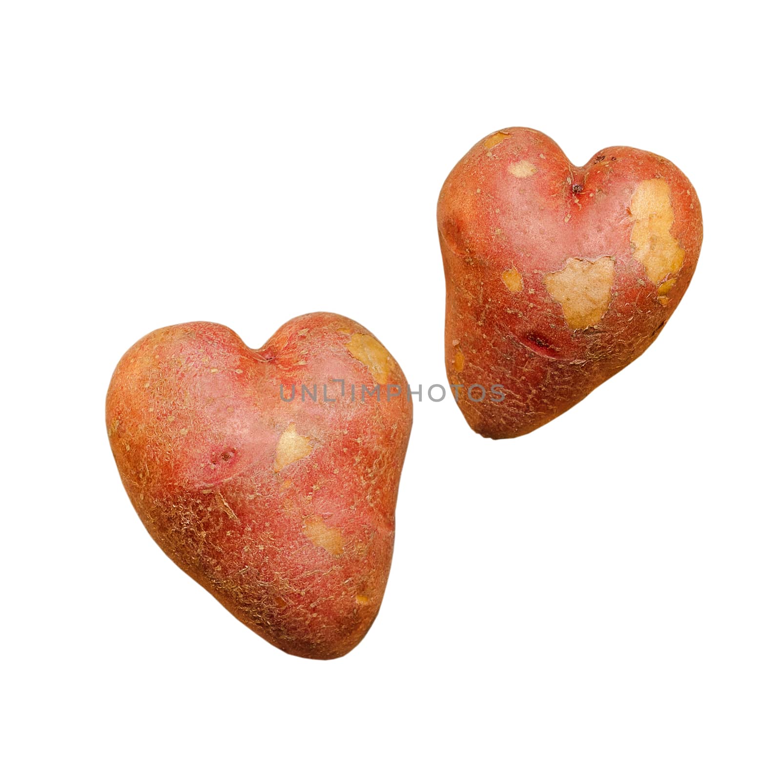 Two pink potato similar to heart, lying on a white background. Isolated.