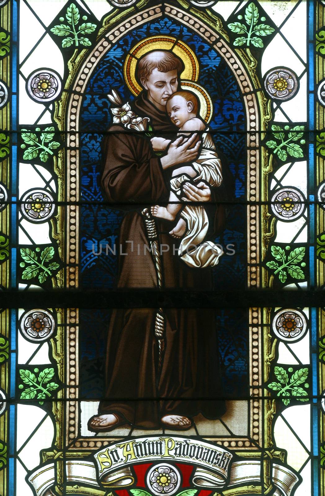 Saint Anthony of Padua