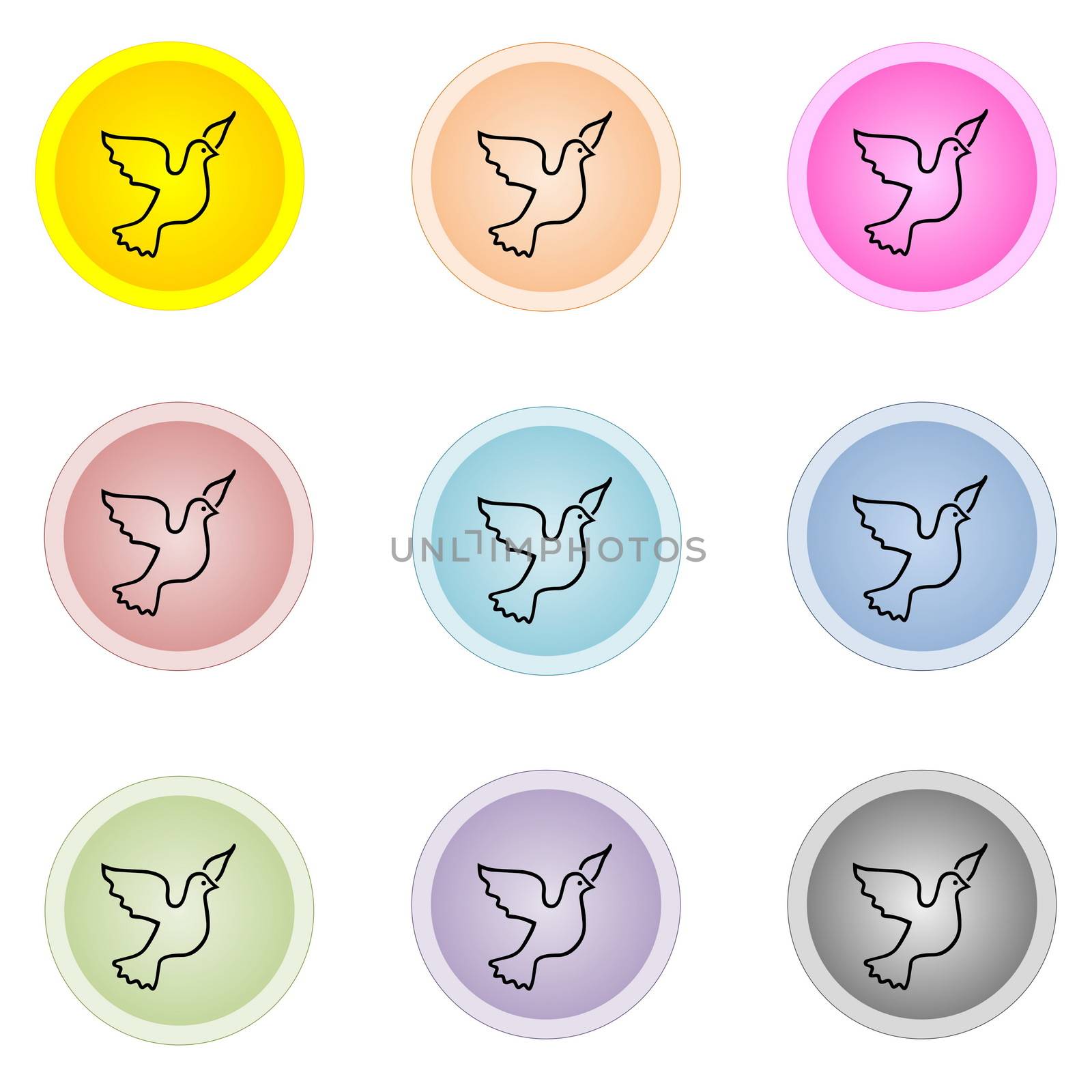 Set of nine colorful buttons with dove bird isolated in white background